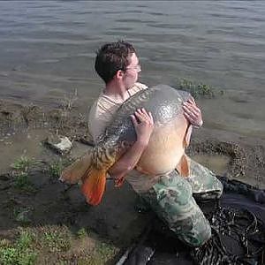 TECNICOS CARPFISHING: LA RAMONA 27,1 KILOS DE CARPA ROYAL