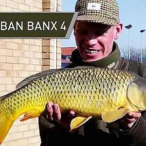 Urban Park Lake Carp Fishing - Urban Banx 4 with Alan Blair - Northlands Park Basildon - Nash Tackle