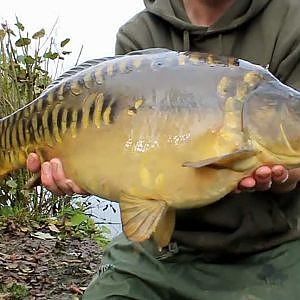 Winter Carp Fishing at Richworth Linear Fisheries