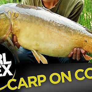 How to tie a simple corn rig for carp fishing - Carl and Alex Fishing - 2013