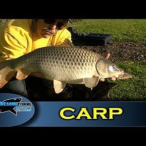 Carp fishing using a link leger- Series 1- Episode 11 - TAFishing