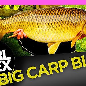 BIG CARP BLOG - April and May Update video - Carl and Alex Fishing - 2014