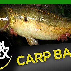 Carp Fishing Bait Meat for Fishing Bait - Carl and Alex Fishing - 2014