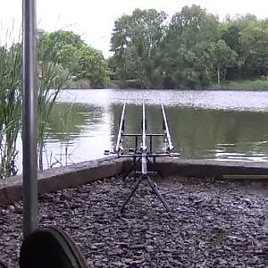 Fenland Dreams - Carp Fishing