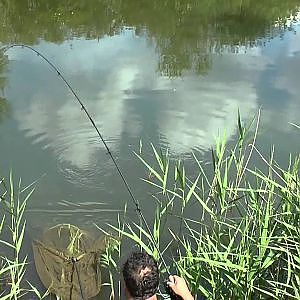 Carp Fishing - Free Spirit Shaun Harrison Stalking