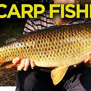 Carp Fishing at the Club Lake - Carl and Alex Fishing - 2014