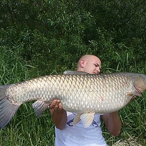 B&P fishing - Graskarpfen in der Elbe ( Karpfenangeln )