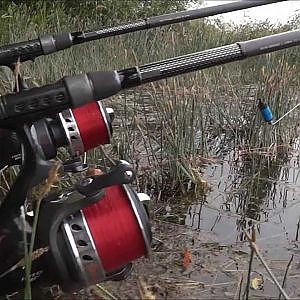 Karpfenangeln 2013 ( Zielfisch Karpfen am Stausee) CarpBrothersTV