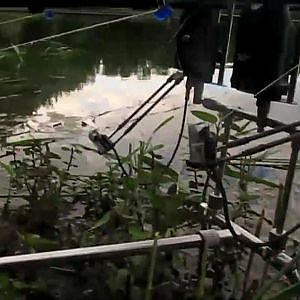 Karpfenangeln - Carpers Diaries - Videotagebuch No. 16