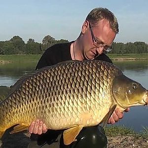 Trailer # 2 - Der Fluss des Lebens - by Christian Grasshoff - Karpfenangeln in der Elbe