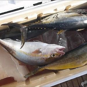 Fishing Adventures #82 - Jigging Trolling Tuna Mahi Amberjack Trevally - South China Oil Rig Platfom