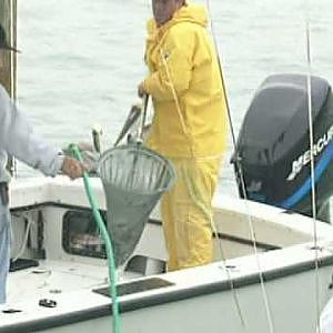 FISHING the FLORIDA KEYS blackfin tuna