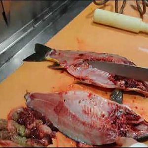 Karpfen zerlegen und filetieren - How to cut and filet carp