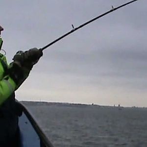 Team hba1c fiskar torsk i  Helsingborg med Vadia.