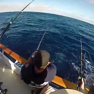 Tuna Fishing, Ocean Odyssey, San Diego, H&M Landing, Mahi Mahi, Yellowfina and Bluefin Tuna