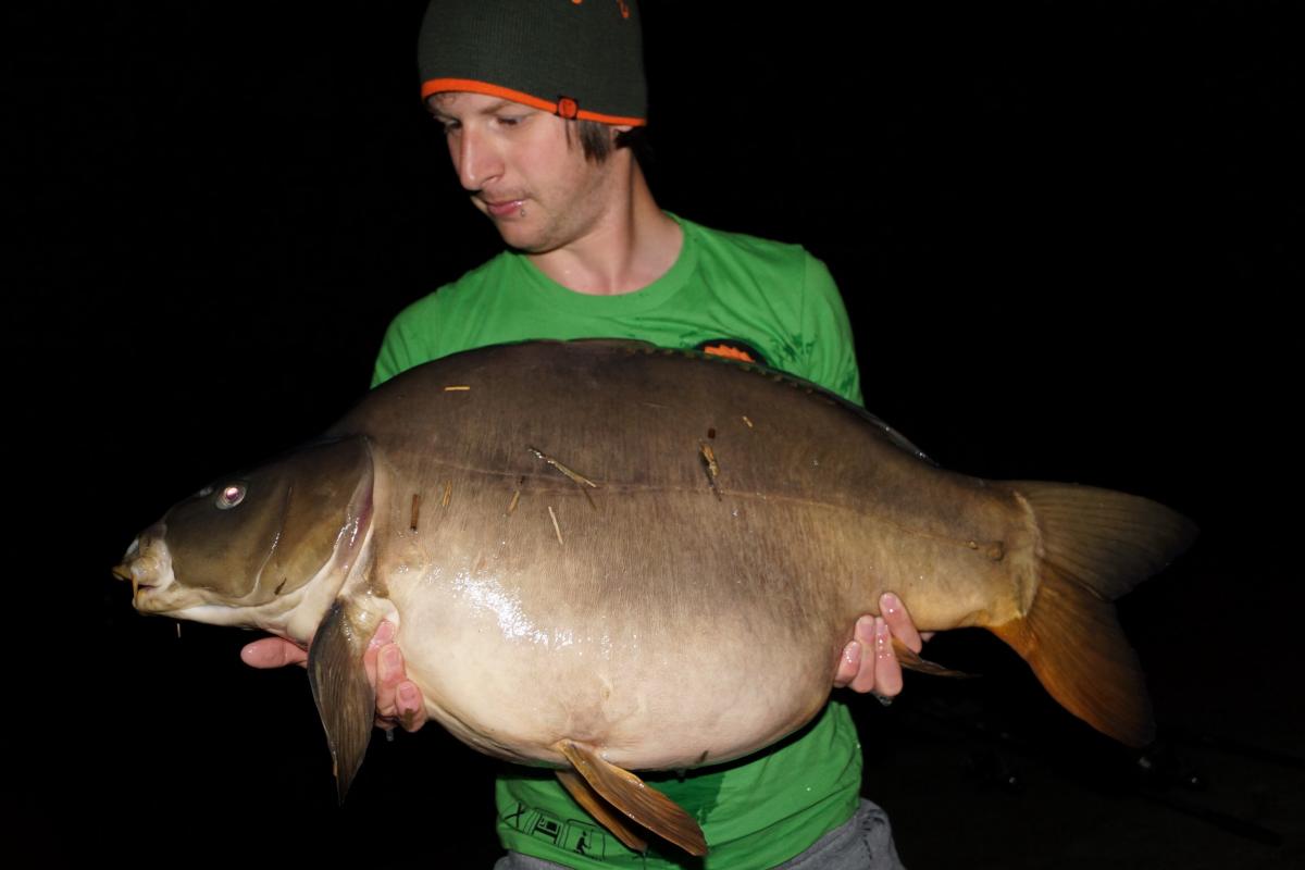 17,5 kg auf Schellfisch(Steirerbaits)