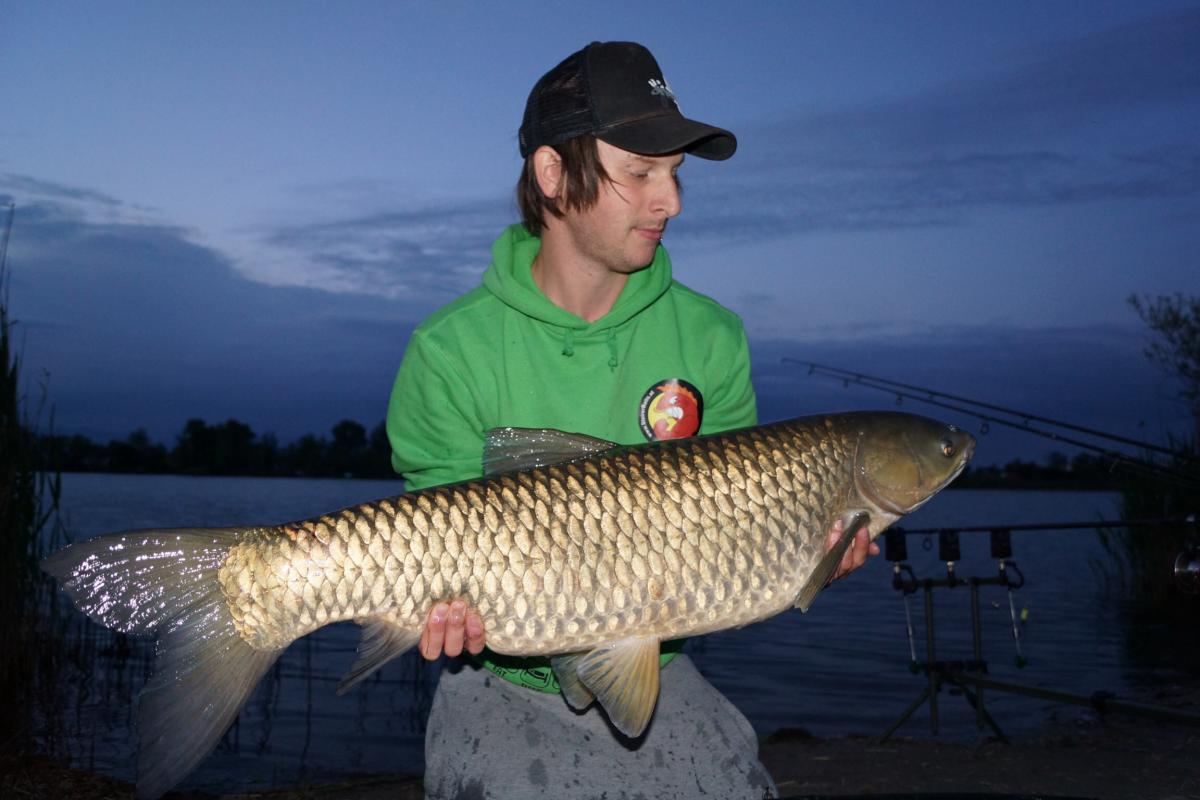 17 kg auf Schellfisch (Steirerbaits)