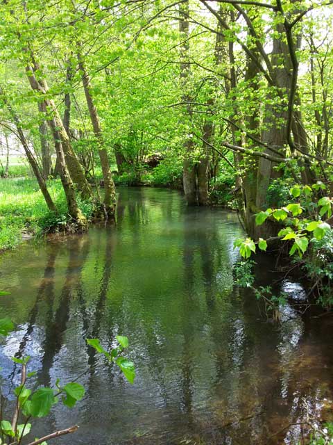 20150510 113939 Püttlach oberhalb Pottenstein