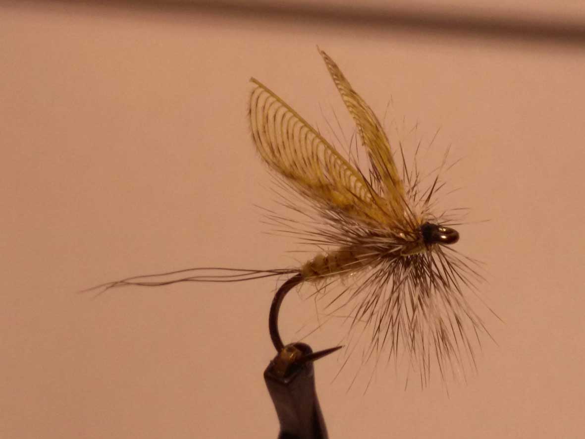 20160124 Wally Wing Mayfly