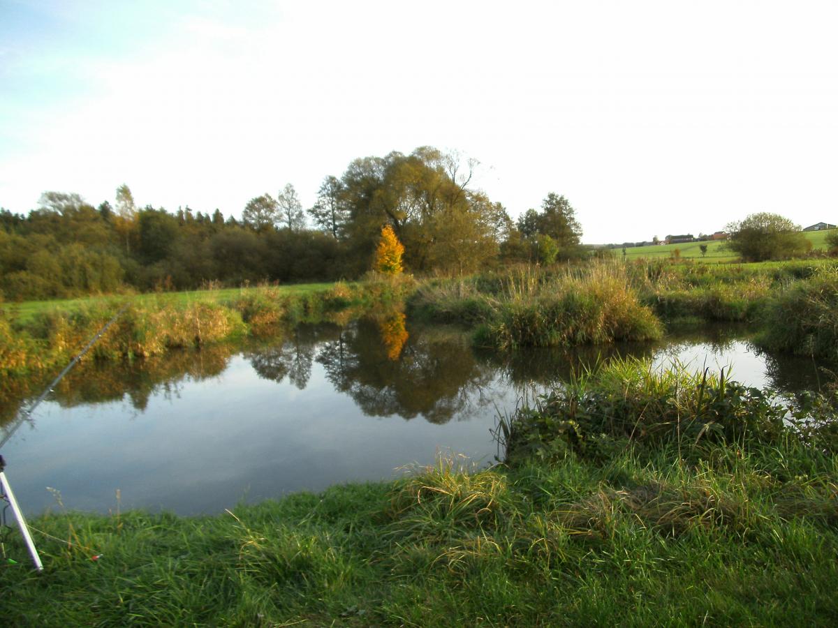 an der Wondreb