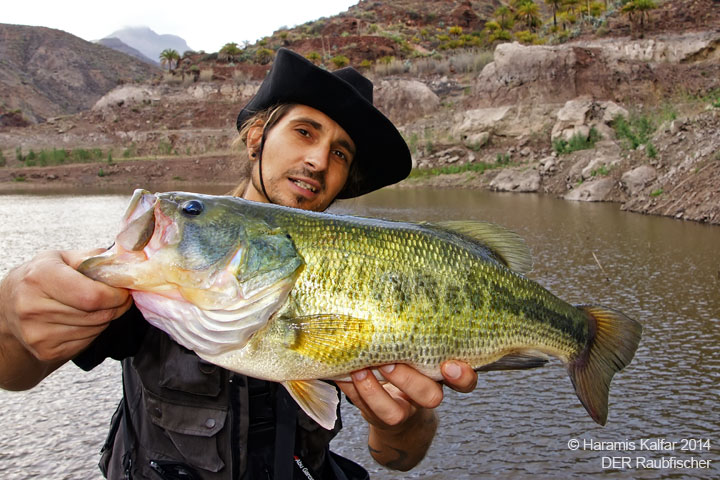 Bass Guide 26 11 14