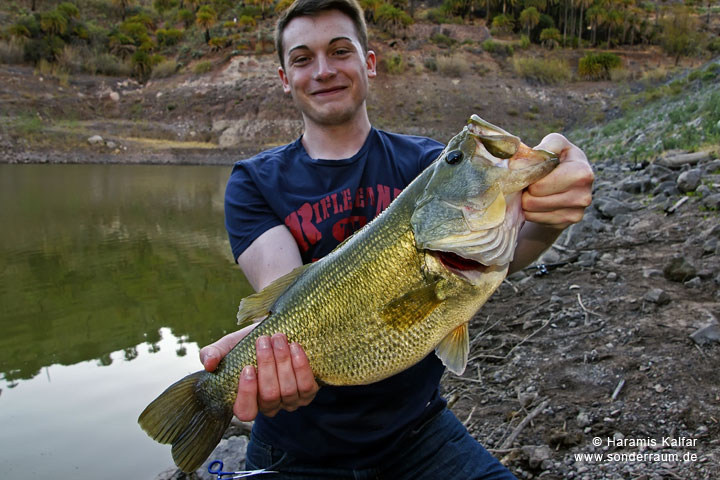 Bass Guiding