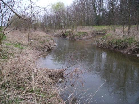 Bei Hochwasser im Frühling wird es schwer, einen Fisch zu erwischen. In diesem Bereich brüten mittlerweile 2 Eisvogelpaare.