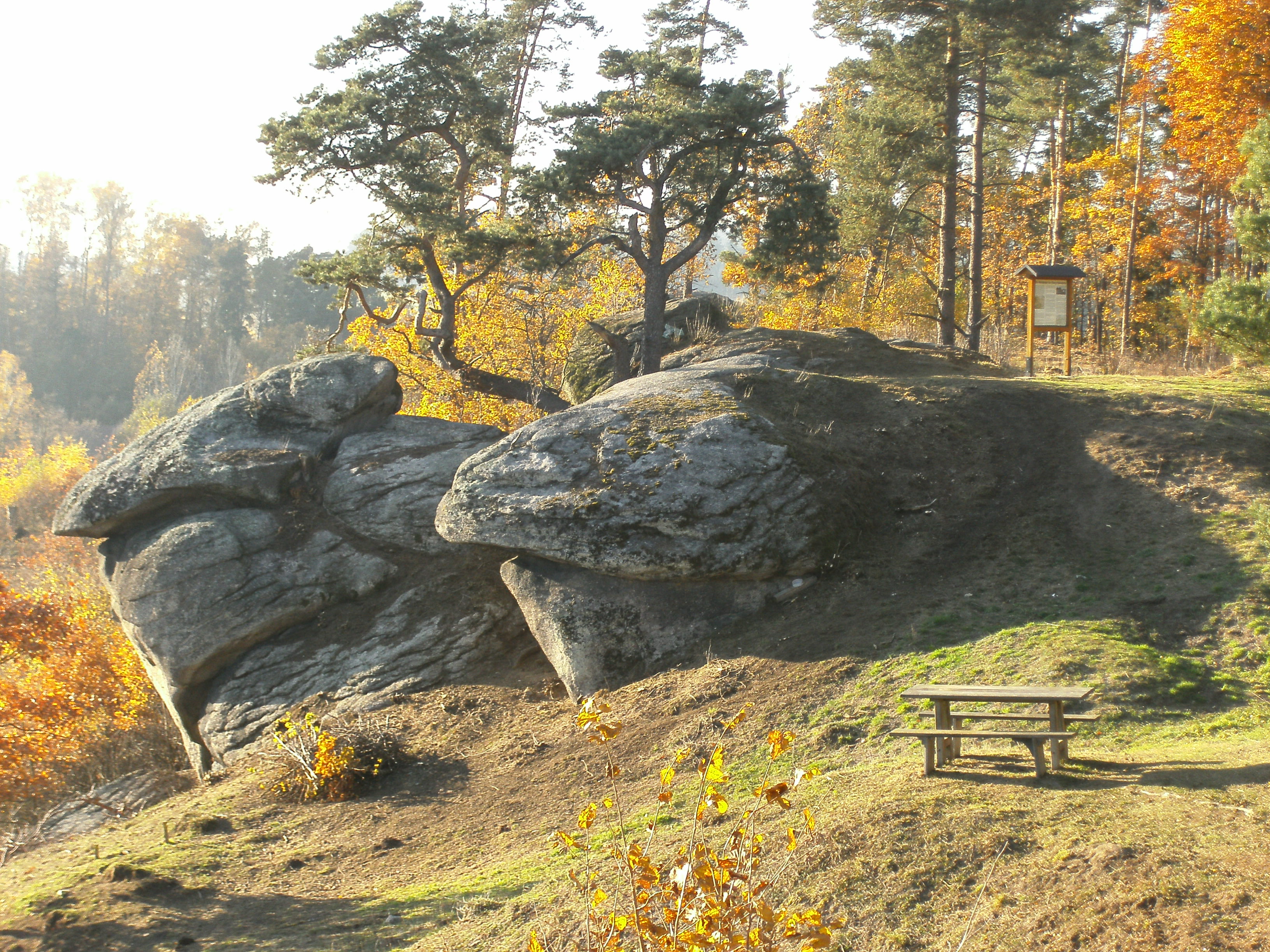 Fels bei Liebenstein