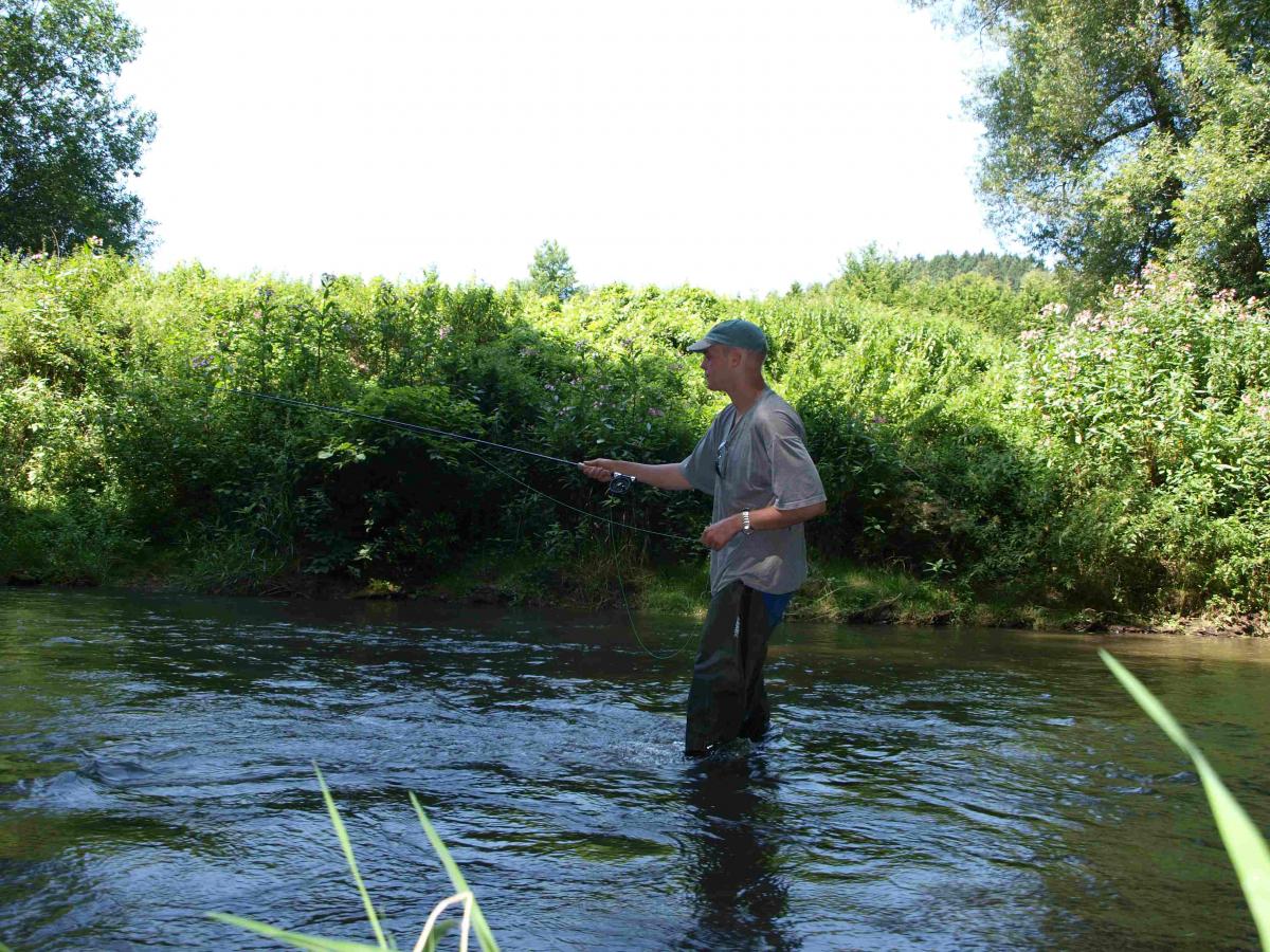 Fliegenfischen im Lachsbach