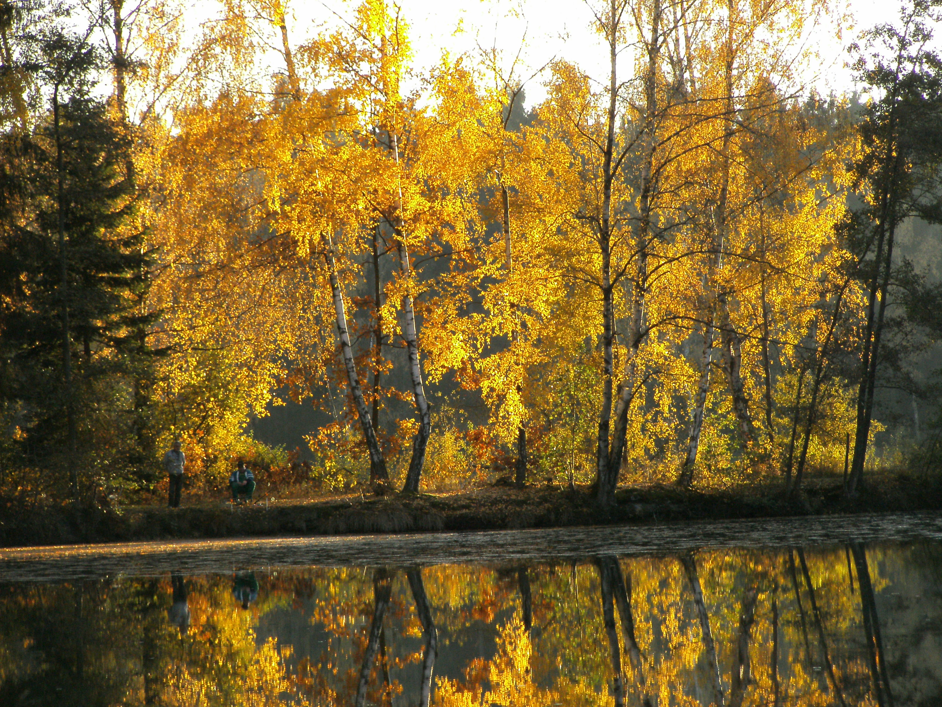 goldener Oktober am Perlsee