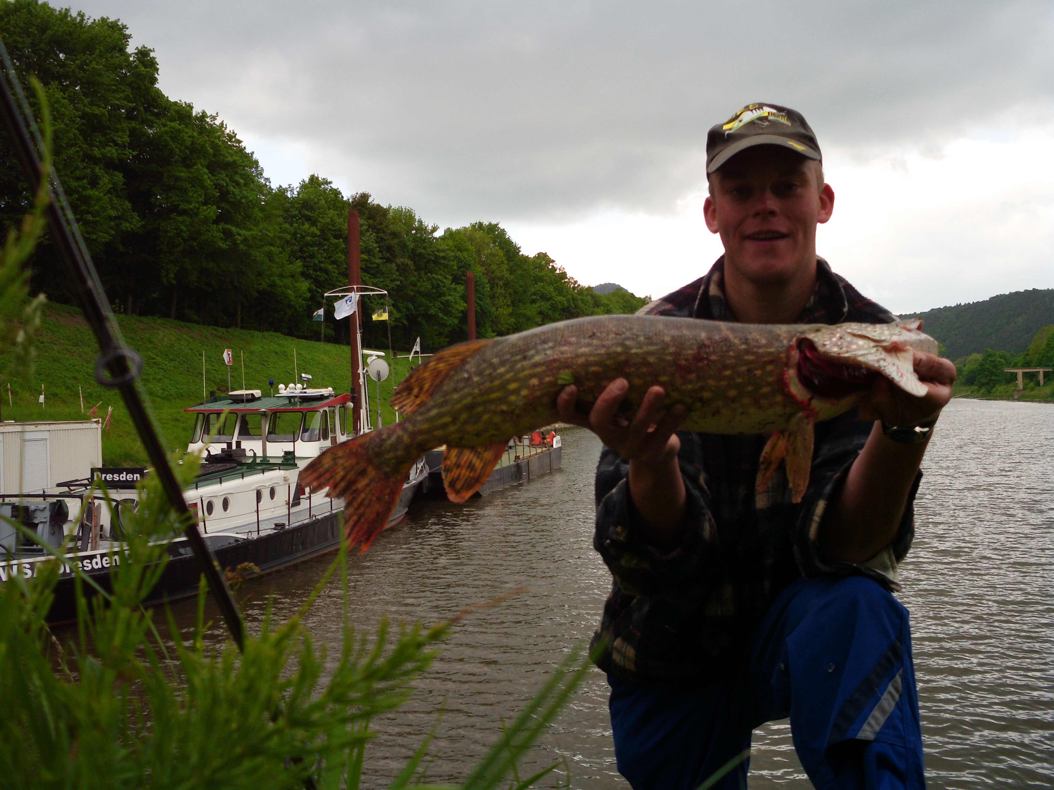 Hecht 75 cm und 2,92 kg  lecker Hechtleber!!!