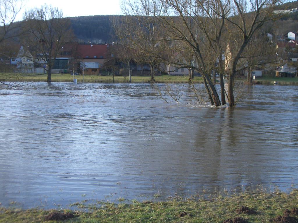 Hochwasser Main 2010 (2)