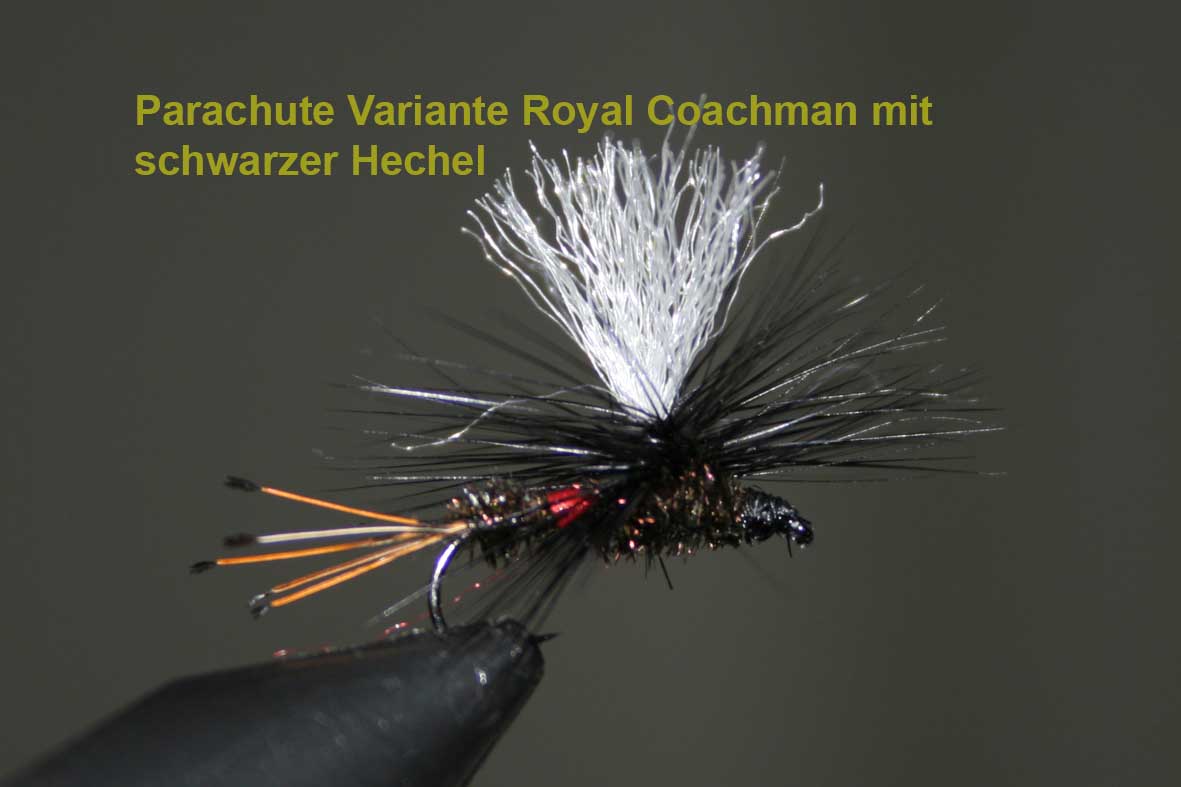 IMG 4874 Parachute Variante Royal Coachman