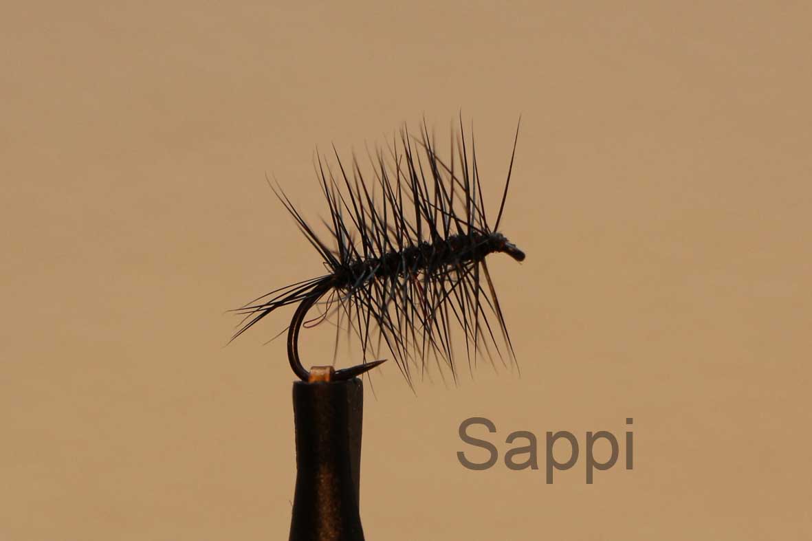 IMG 4903 Sappi