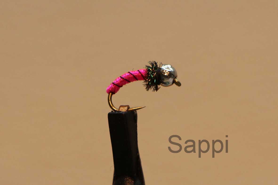 IMG 4904 Sappi