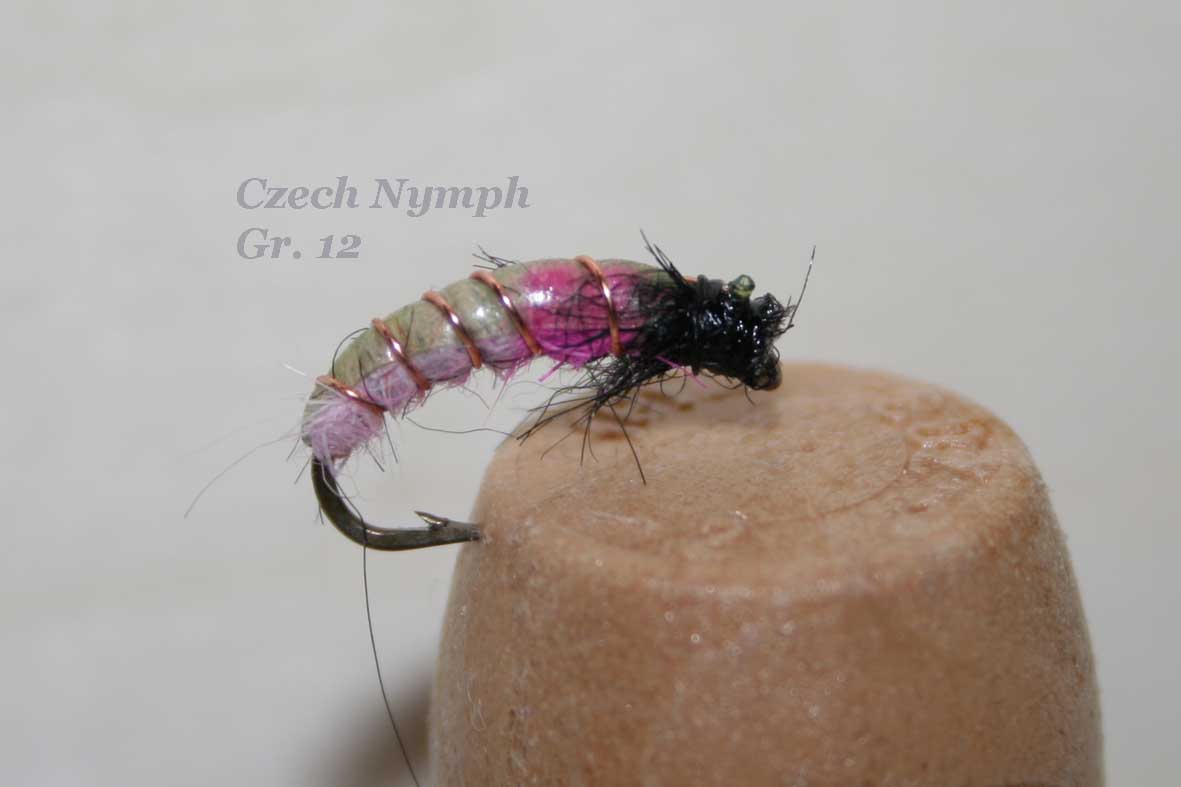 IMG 4972 Czech Nymph