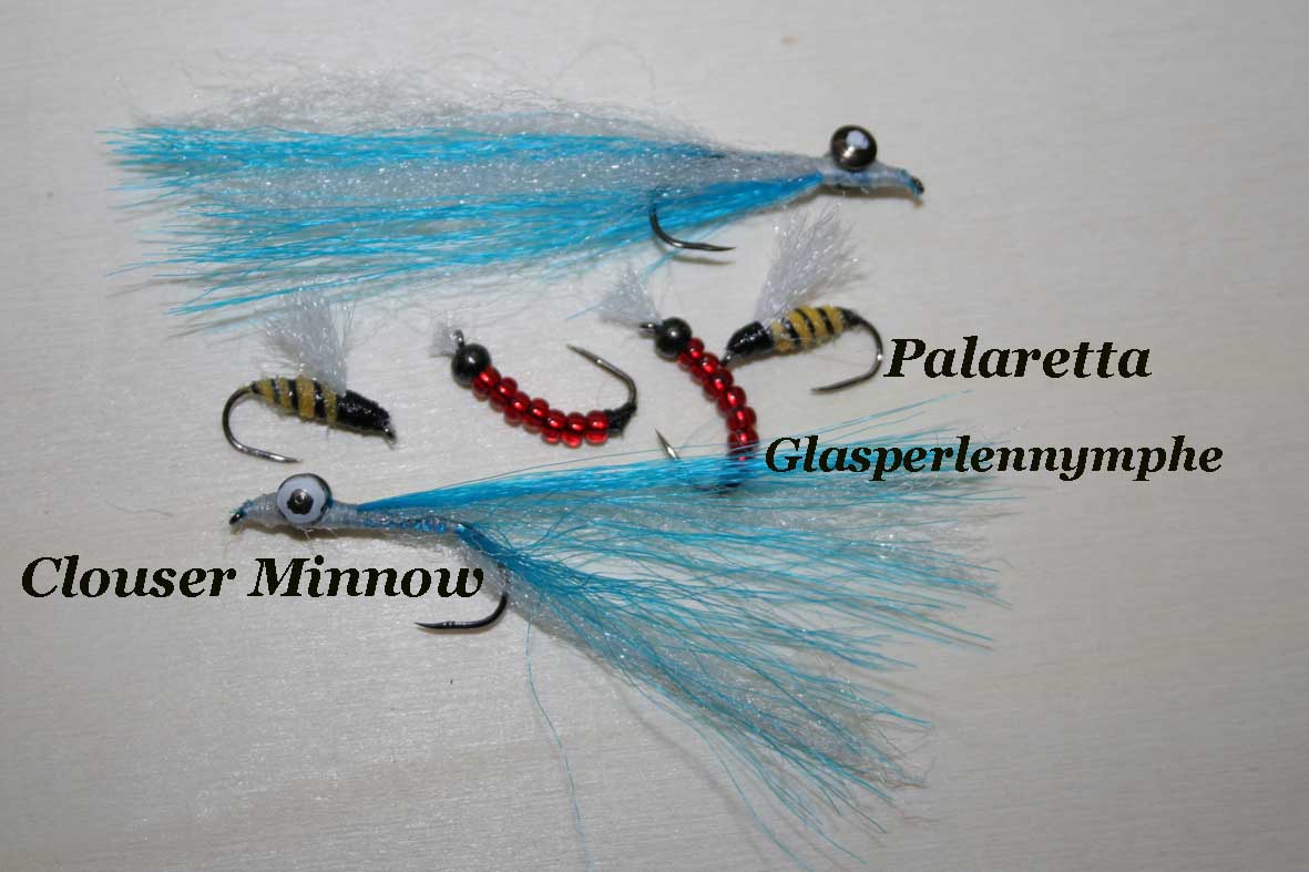 IMG 5737 Palaretta Clouser Minnow Glasperlennymphe