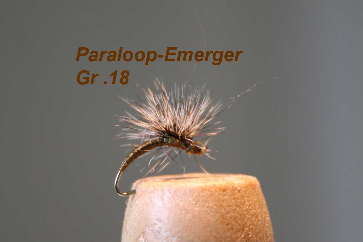 IMG 7177 Paraloop Emerger