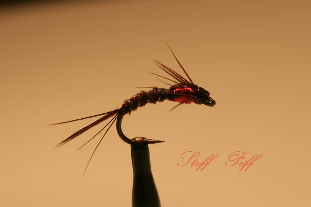 IMG 7538 Mix of Pheasant Tail and Ritz D