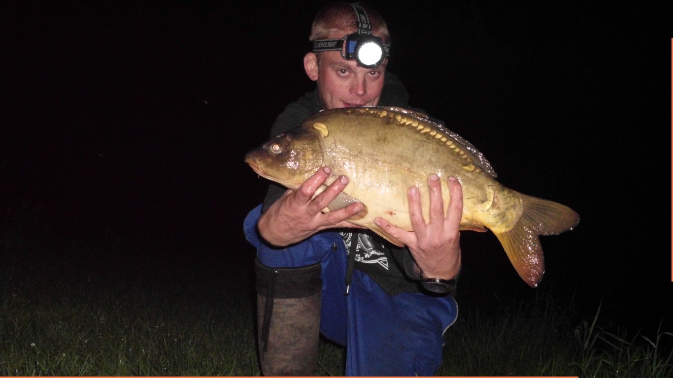 Karp 56 cm Nachts 22 Uhr grfangen auf Tauwurm.