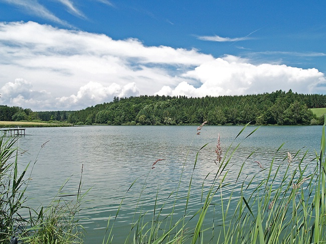 Lausheimer Weiher