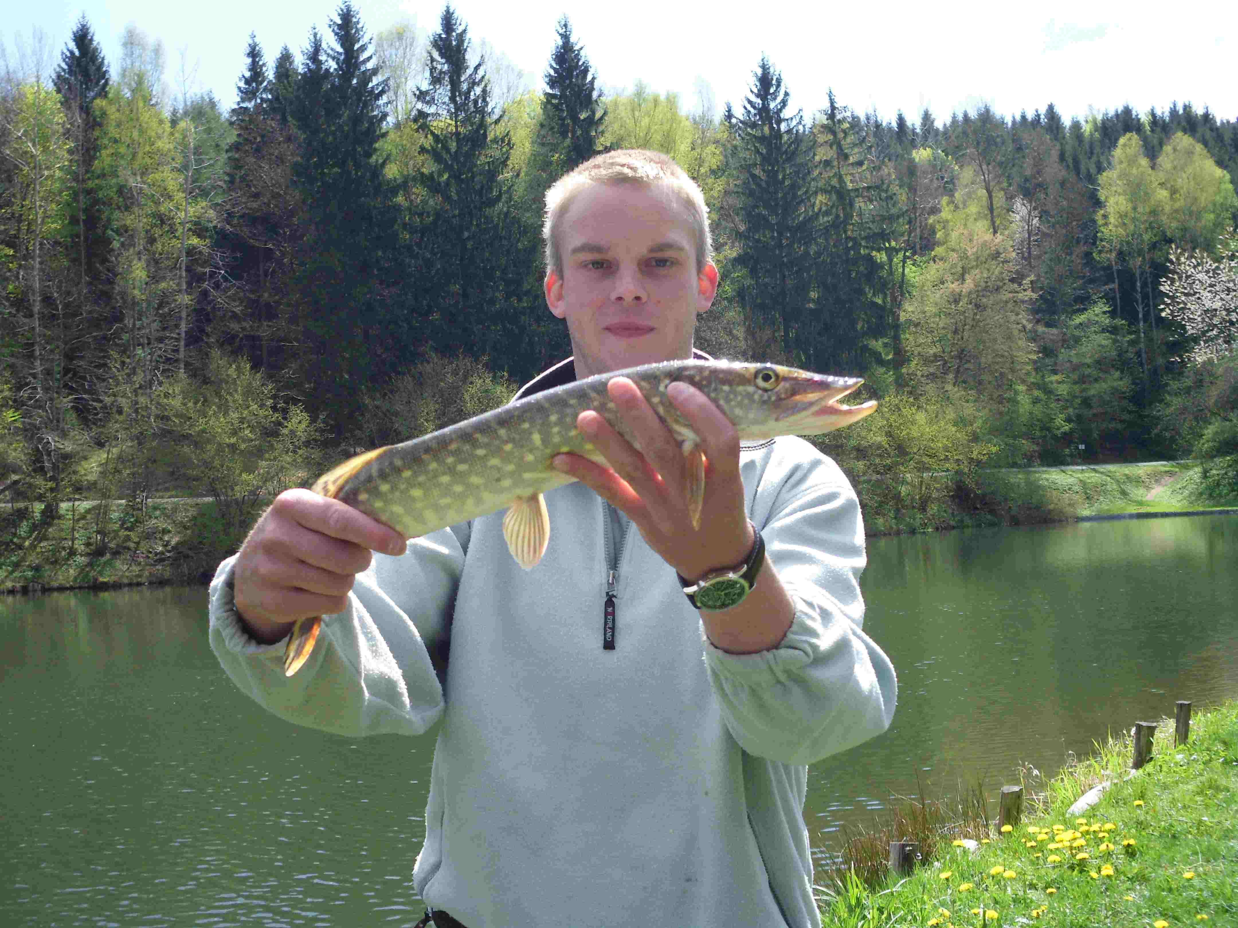 Minihecht auf Köfi, Schwimmt wieder!