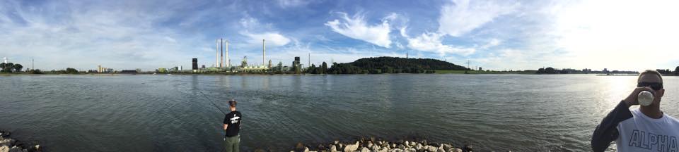 Rheinpanorama