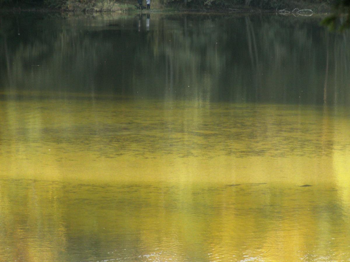 Sandbank im Silbersee