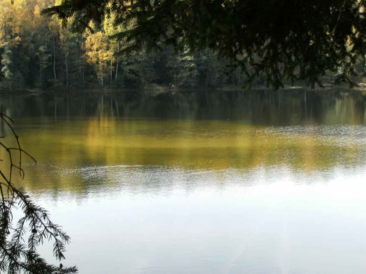 Sandbank im Silbersee