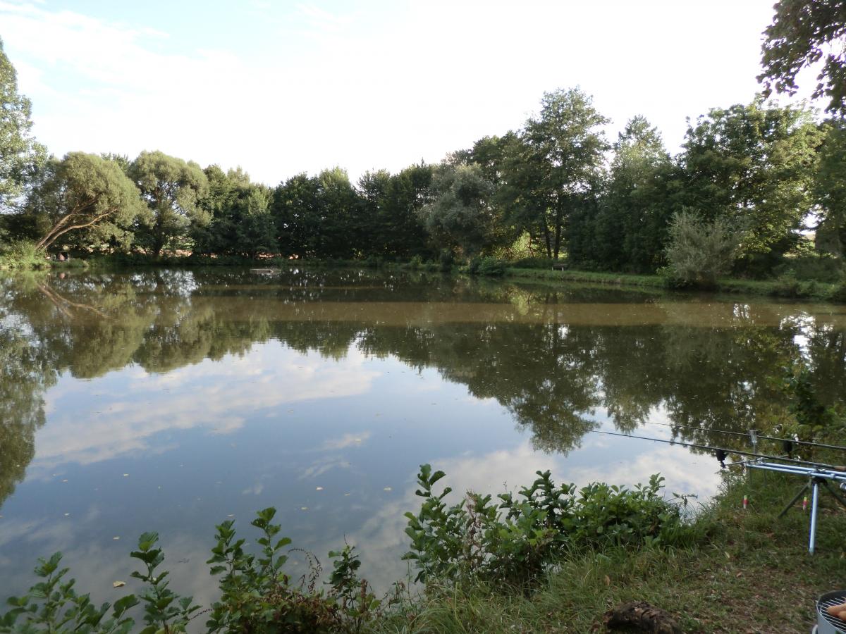 sehr schöner Weiher