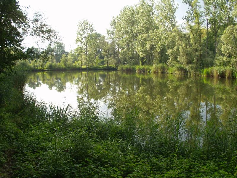 Unser See 3 in der Nachbargemeinde Steinheim