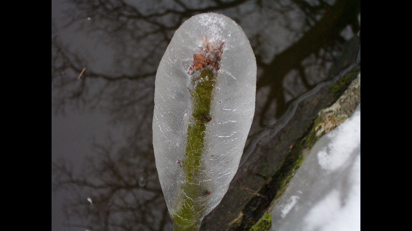 Winter und Kälte an unseren Gewässern