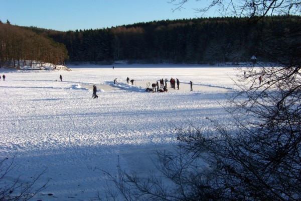 Winterbilder an der Steinbachtalsperre 024 (600 x 400)