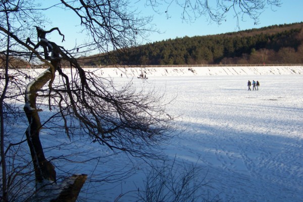 Winterbilder an der Steinbachtalsperre 025 (600 x 400)